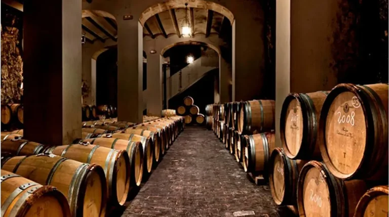 bodega gutierrez de la vega